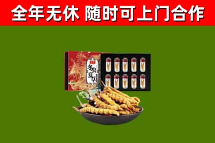 六安市回收冬虫夏草价格